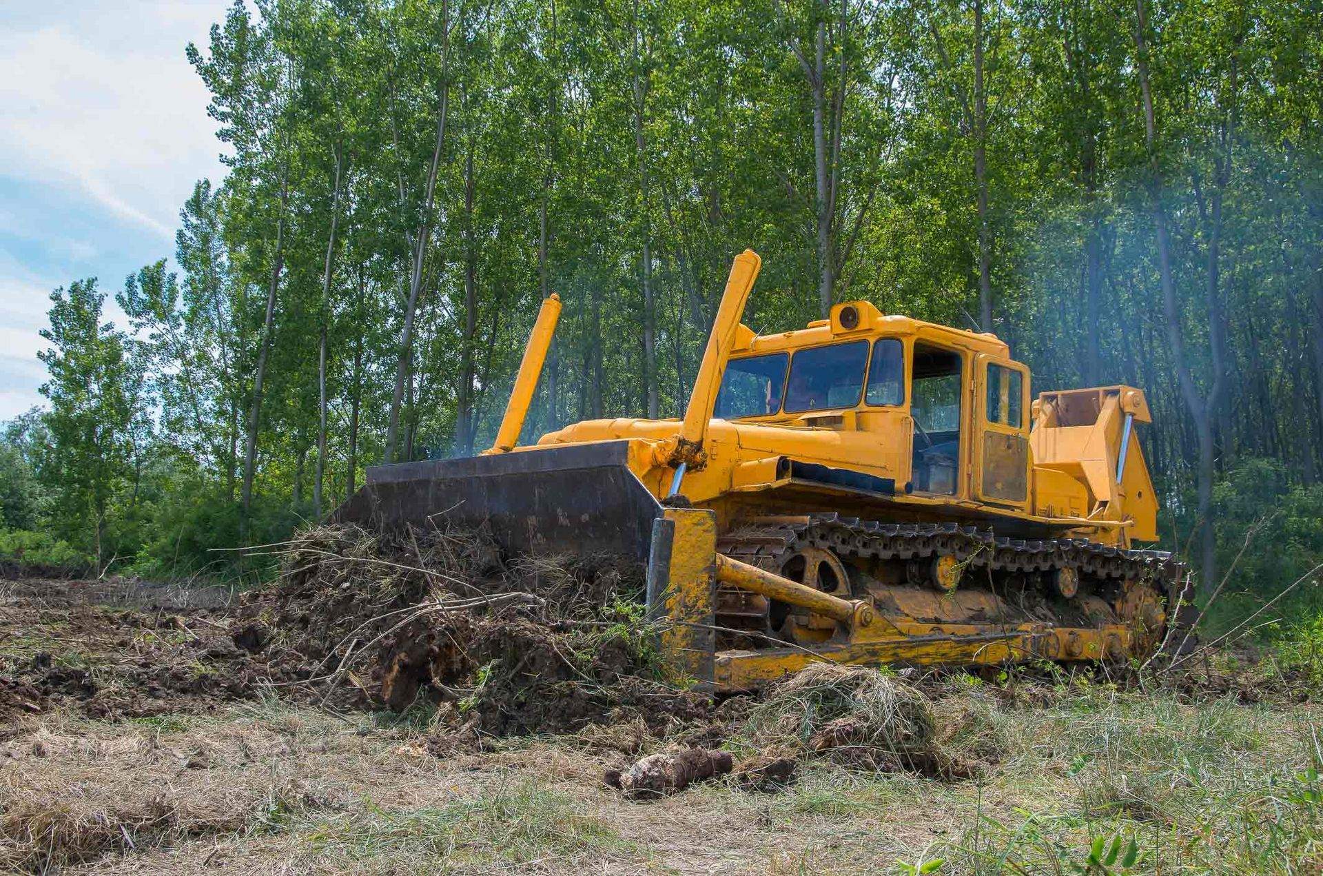 Tree work in Bristol, TN &mdash; Barrett’s Tree Experts