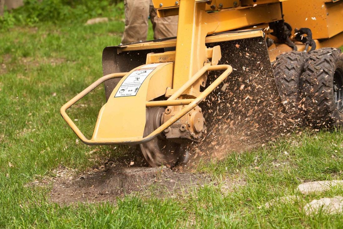 Stump grinding machine throwing chips as it grinds a stump &mdash; Church Hill, TN &mdash; Barrett’s Tree Experts