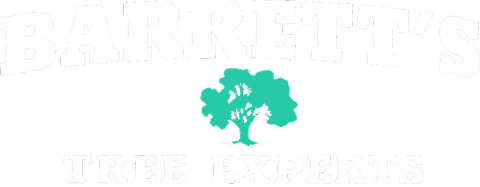 Barrett’s Tree Experts