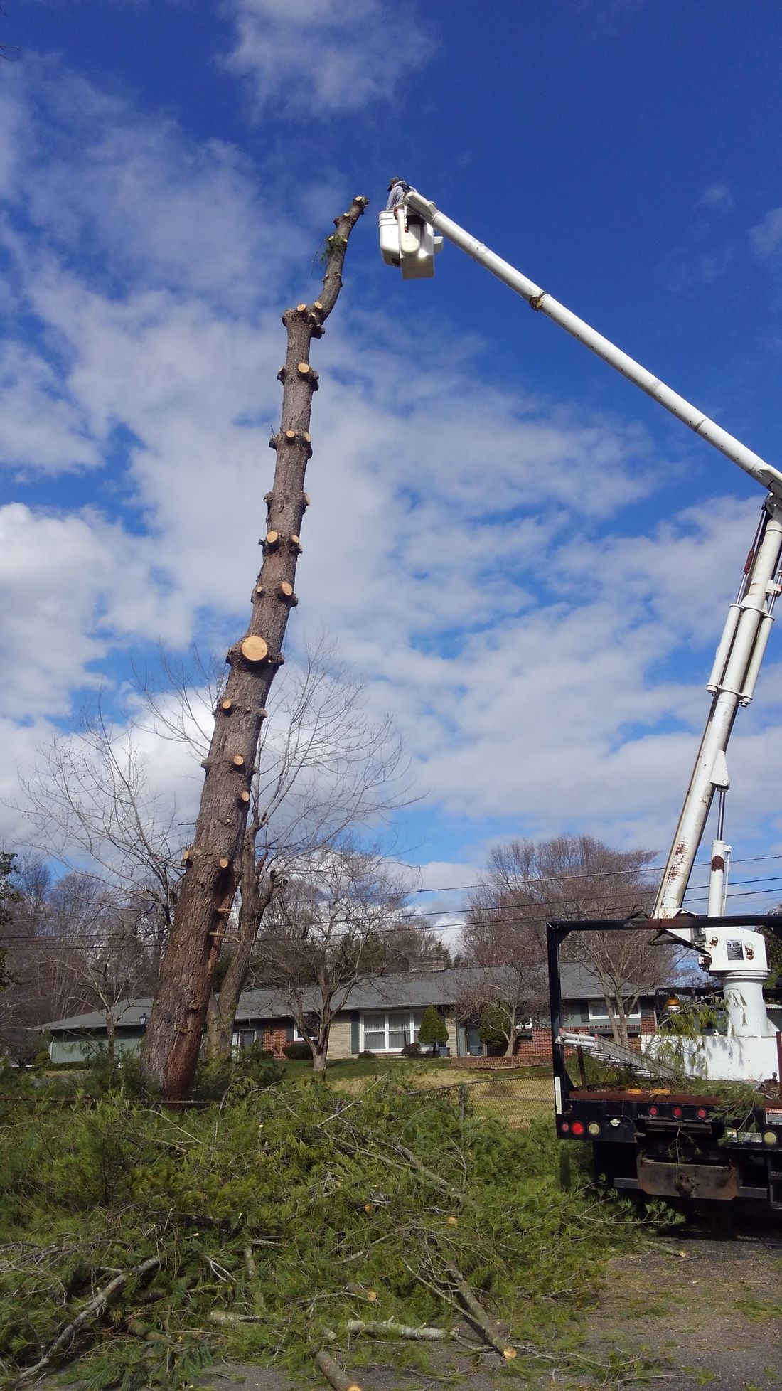 Bucket truck removing a tall tree trunk section by section &mdash; Church Hill, TN &mdash; Barrett’s Tree Experts
