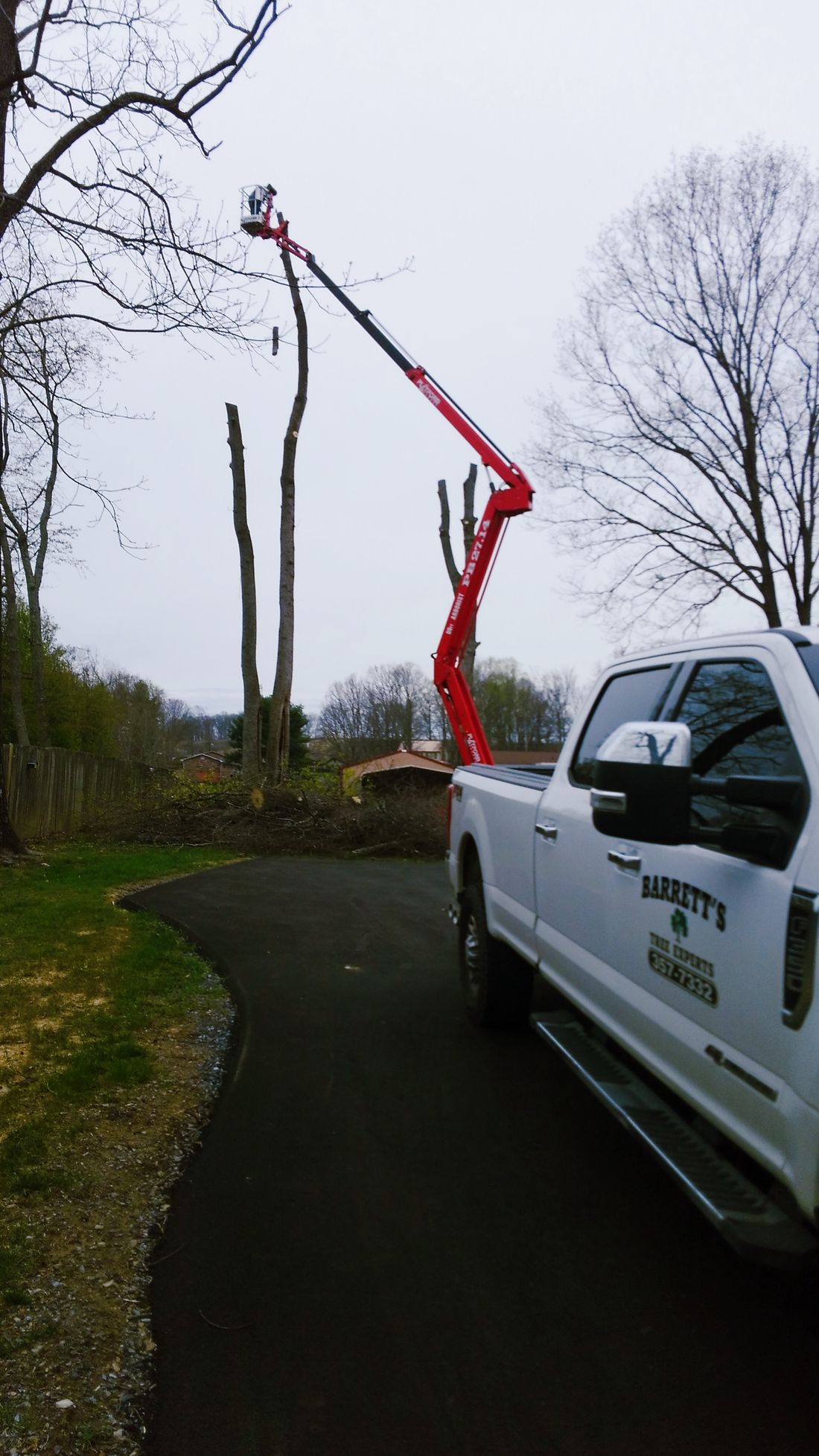 Bucket truck removing a dead tree beside a driveway — Church Hill, TN — Barrett’s Tree Experts