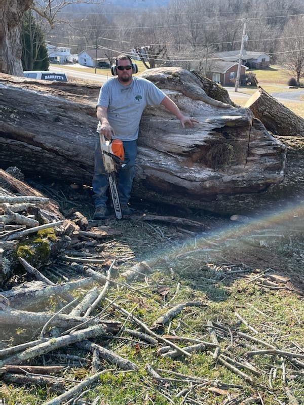 Barrett’s Tree Experts working near Surgoinsville, TN