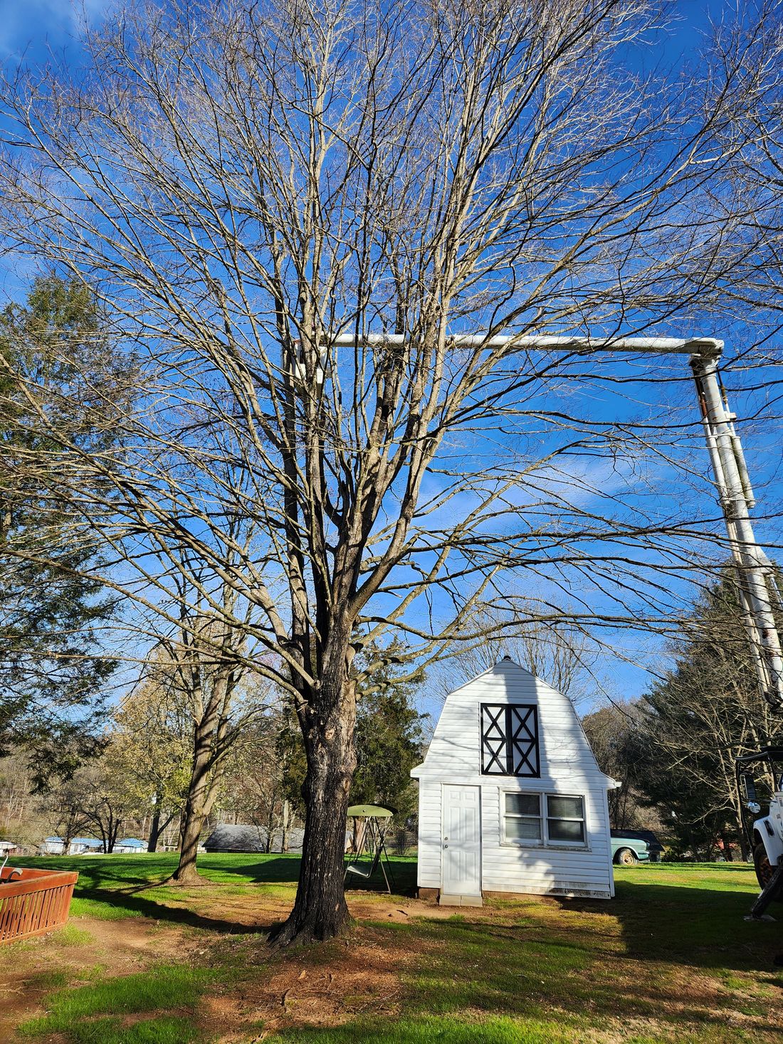 Barrett’s Tree Experts working near Bristol, TN
